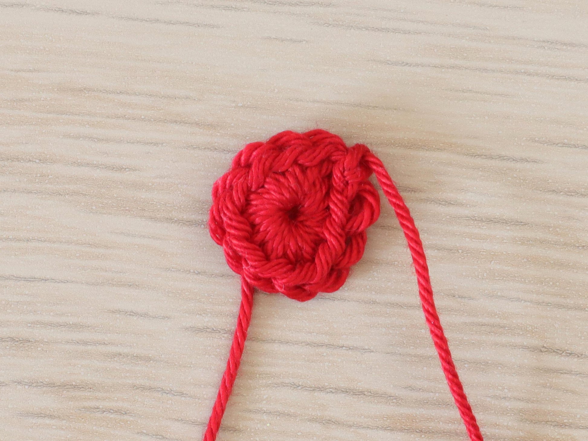 Holly and Berries Applique Crochet Pattern