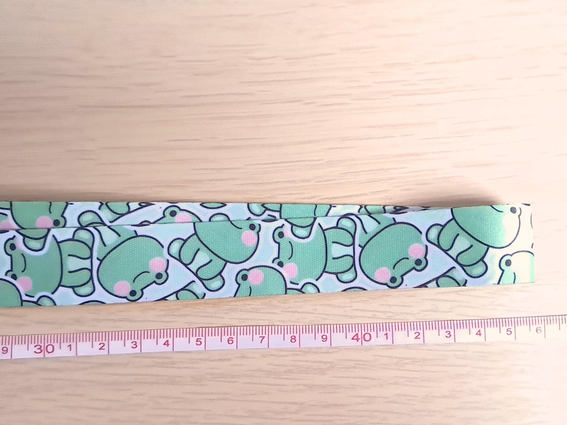 Frog Lanyard Scissor Protector Set