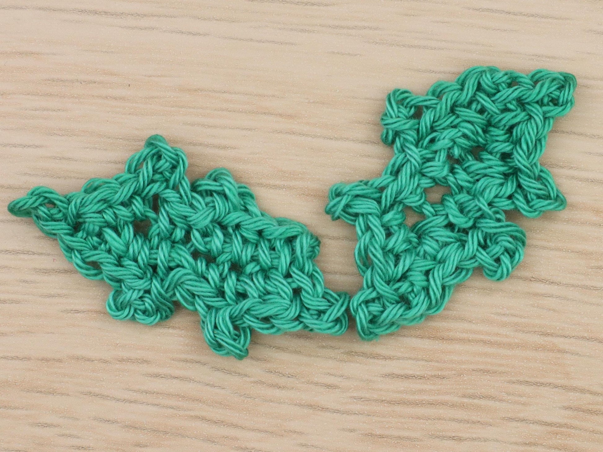 Holly and Berries Applique Crochet Pattern